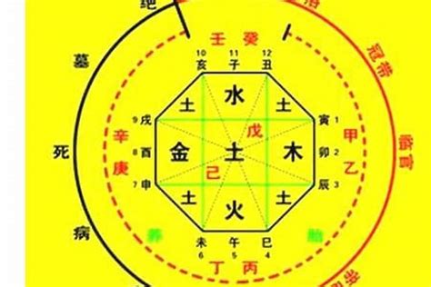 喜神 木|八字入门基础 第六篇 如何判断八字喜用神